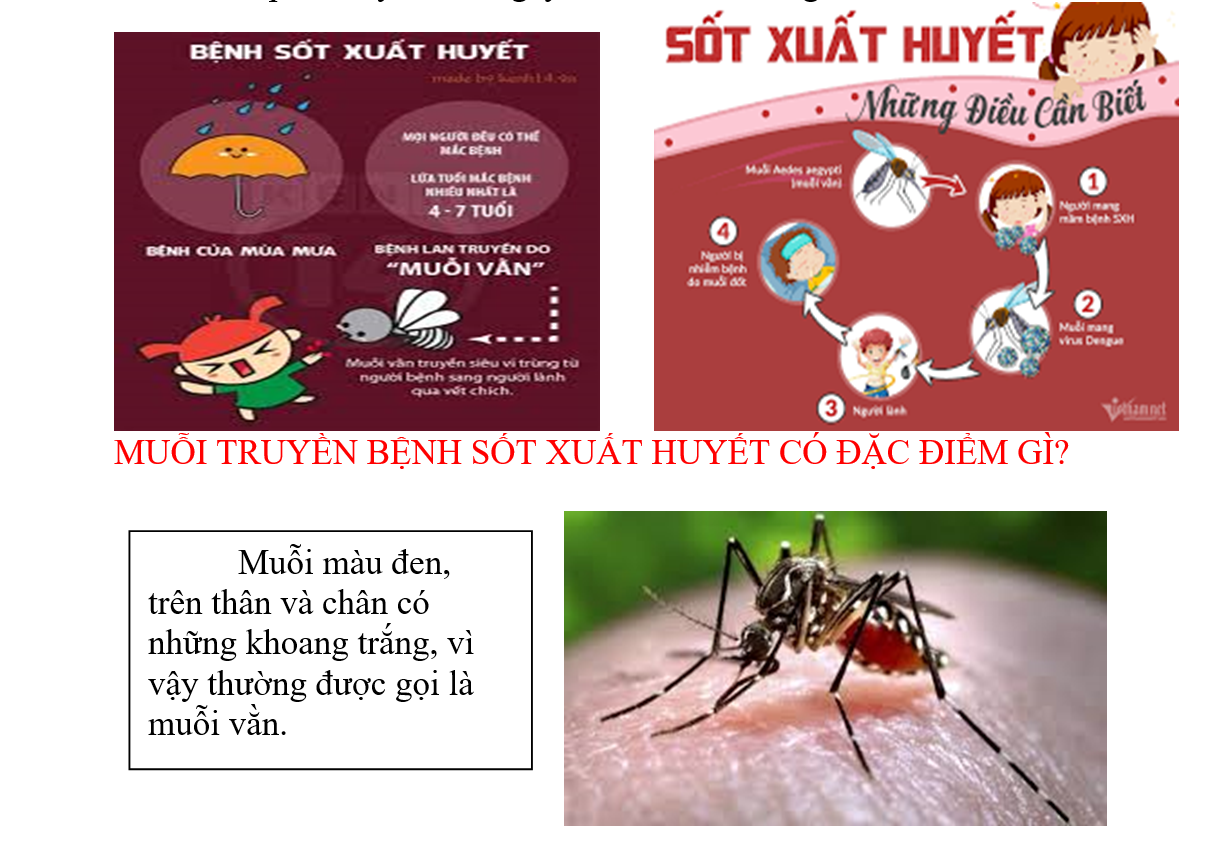 Screenshot 2024-10-08 150054.png