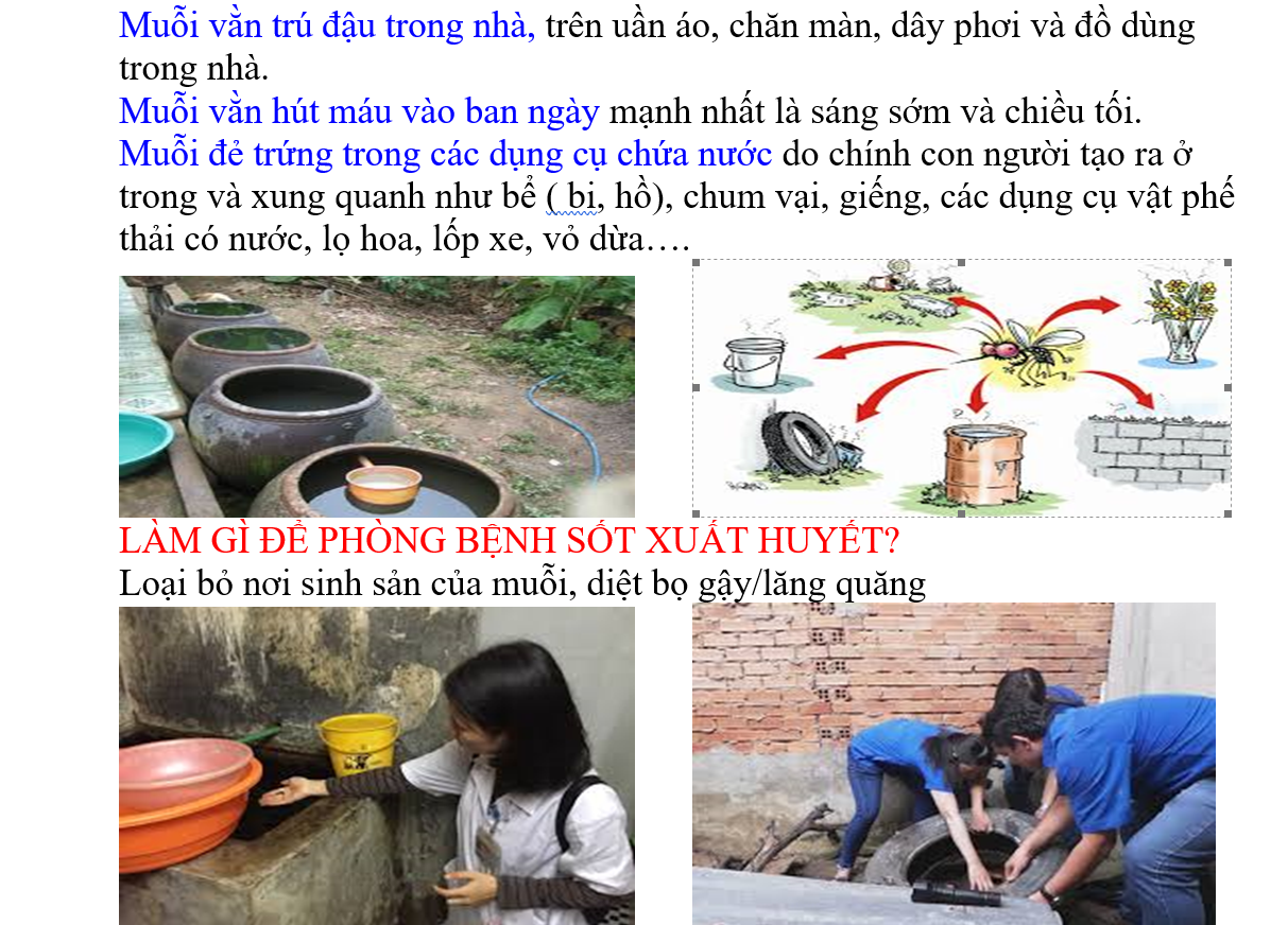 Screenshot 2024-10-08 150238.png